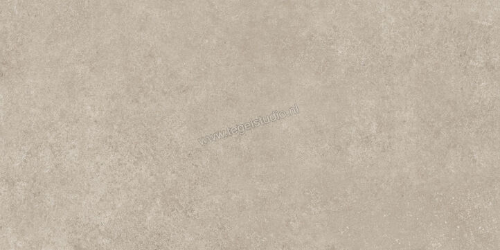  Ragno Tiempo Taupe 60x120 cm Vloertegel / Wandtegel Mat Vlak Naturale RCSQ | 378325