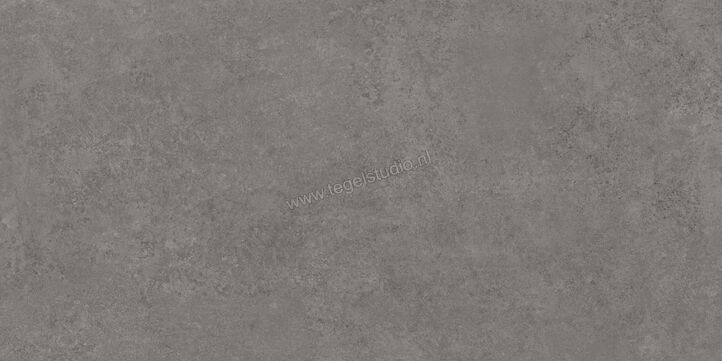  Ragno Tiempo Antracite 60x120 cm Vloertegel / Wandtegel Mat Vlak Naturale RCSR | 378328