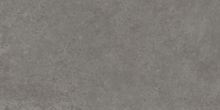  Ragno Tiempo Antracite 60x120 cm Vloertegel / Wandtegel Mat Vlak Naturale RCSR | 378331