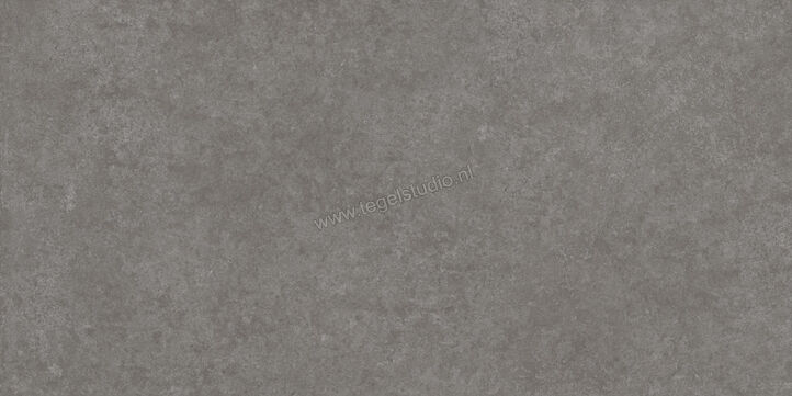  Ragno Tiempo Antracite 60x120 cm Vloertegel / Wandtegel Mat Vlak Naturale RCSR | 378334