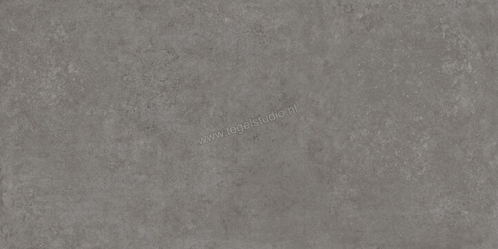  Ragno Tiempo Antracite 60x120 cm Vloertegel / Wandtegel Mat Vlak Naturale RCSR | 378337
