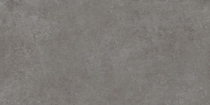  Ragno Tiempo Antracite 60x120 cm Vloertegel / Wandtegel Mat Vlak Naturale RCSR | 378340