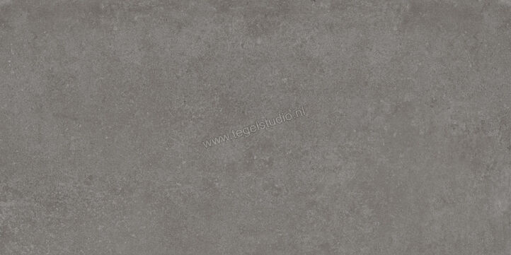  Ragno Tiempo Antracite 60x120 cm Vloertegel / Wandtegel Mat Vlak Naturale RCSR | 378346
