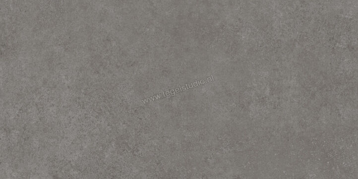  Ragno Tiempo Antracite 60x120 cm Vloertegel / Wandtegel Mat Vlak Naturale RCSR | 378349