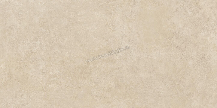  Ragno Tiempo Beige 60x120 cm Vloertegel / Wandtegel Mat Vlak Naturale RCSS | 378352