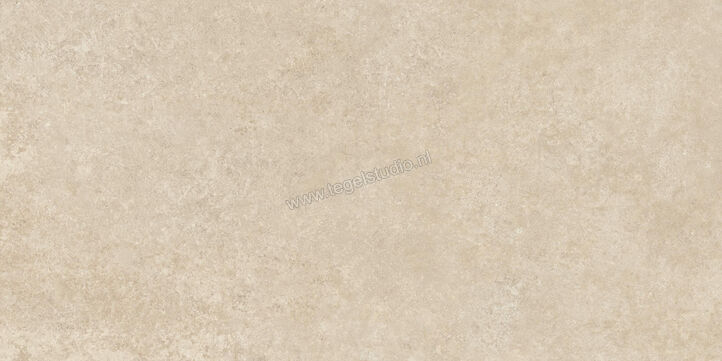  Ragno Tiempo Beige 60x120 cm Vloertegel / Wandtegel Mat Vlak Naturale RCSS | 378355