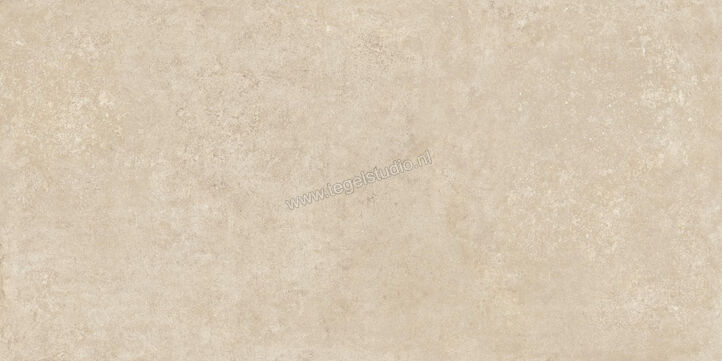  Ragno Tiempo Beige 60x120 cm Vloertegel / Wandtegel Mat Vlak Naturale RCSS | 378361