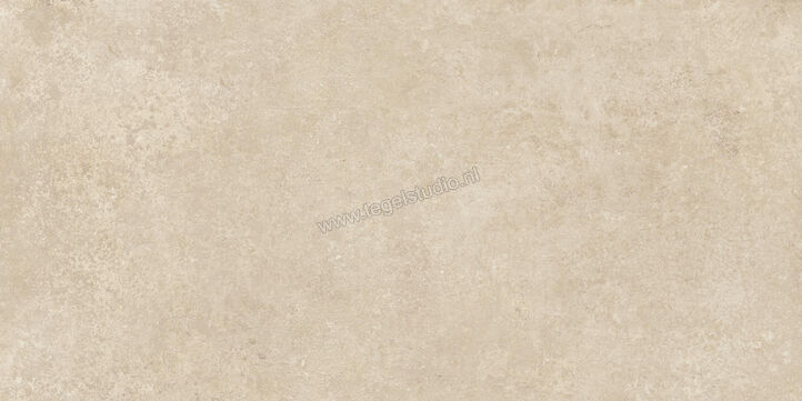  Ragno Tiempo Beige 60x120 cm Vloertegel / Wandtegel Mat Vlak Naturale RCSS | 378364