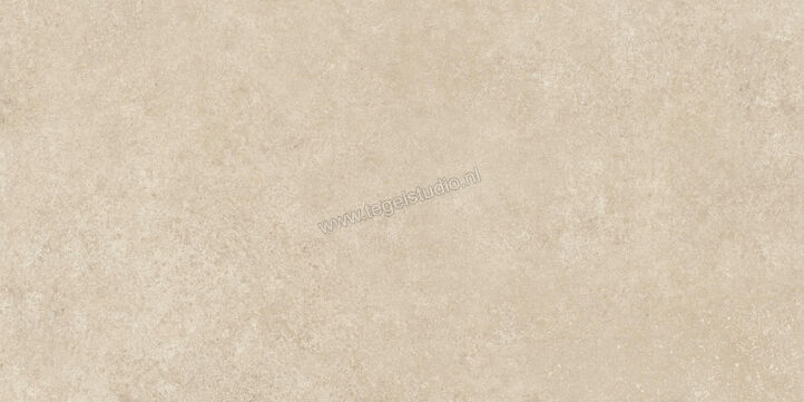  Ragno Tiempo Beige 60x120 cm Vloertegel / Wandtegel Mat Vlak Naturale RCSS | 378373