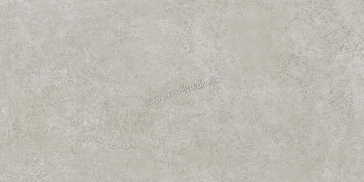  Ragno Tiempo Grigio 60x120 cm Vloertegel / Wandtegel Mat Vlak Naturale RCST | 378376