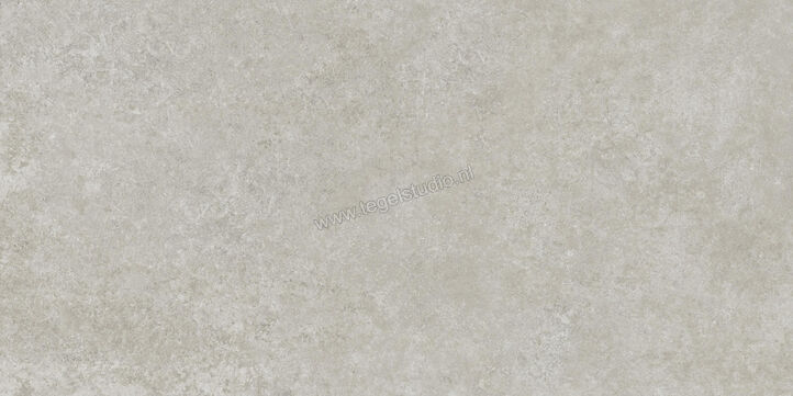  Ragno Tiempo Grigio 60x120 cm Vloertegel / Wandtegel Mat Vlak Naturale RCST | 378379