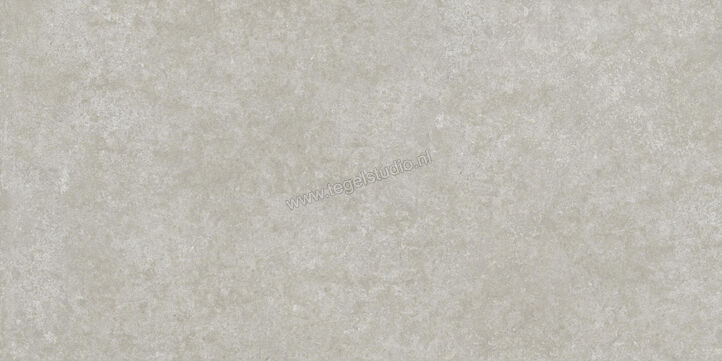 Ragno Tiempo Grigio 60x120 cm Vloertegel / Wandtegel Mat Vlak Naturale RCST | 378382
