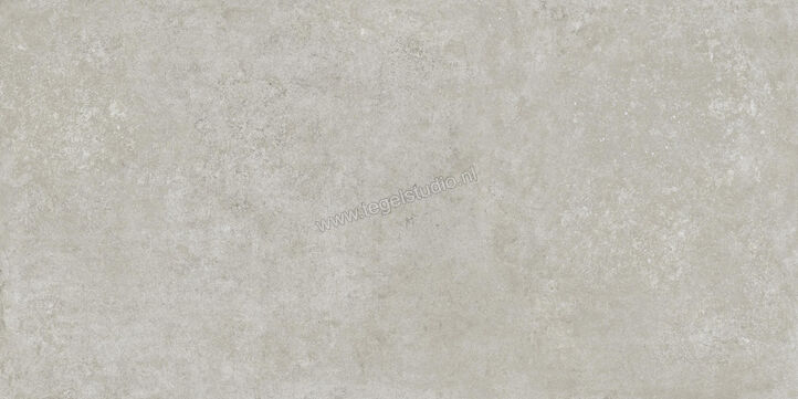  Ragno Tiempo Grigio 60x120 cm Vloertegel / Wandtegel Mat Vlak Naturale RCST | 378385