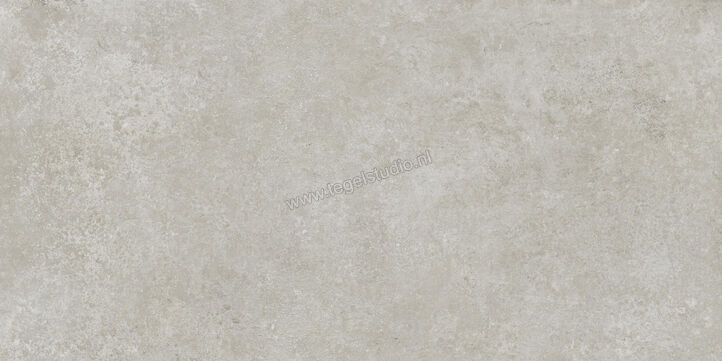  Ragno Tiempo Grigio 60x120 cm Vloertegel / Wandtegel Mat Vlak Naturale RCST | 378388