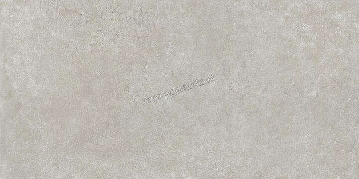  Ragno Tiempo Grigio 60x120 cm Vloertegel / Wandtegel Mat Vlak Naturale RCST | 378391