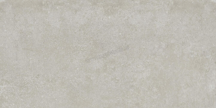  Ragno Tiempo Grigio 60x120 cm Vloertegel / Wandtegel Mat Vlak Naturale RCST | 378394