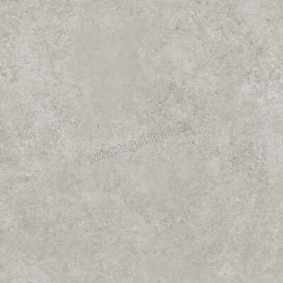  Ragno Tiempo Grigio 60x60 cm Vloertegel / Wandtegel Mat Vlak Naturale RCT0 | 378544