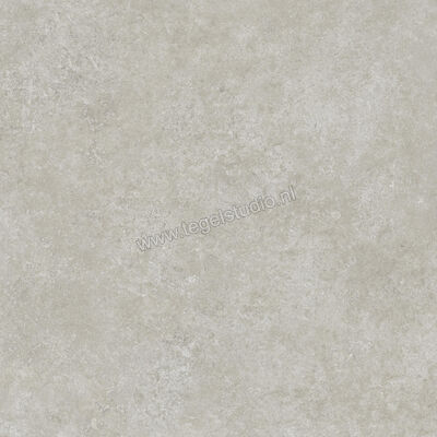  Ragno Tiempo Grigio 60x60 cm Vloertegel / Wandtegel Mat Vlak Naturale RCT0 | 378547