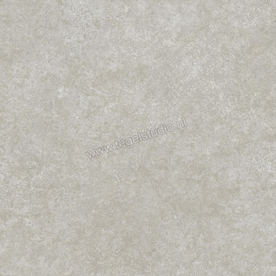  Ragno Tiempo Grigio 60x60 cm Vloertegel / Wandtegel Mat Vlak Naturale RCT0 | 378550