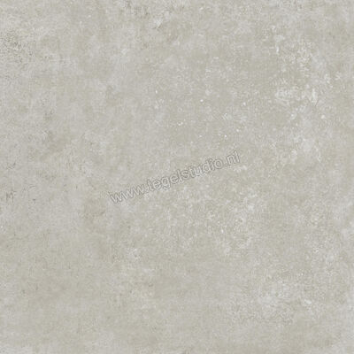  Ragno Tiempo Grigio 60x60 cm Vloertegel / Wandtegel Mat Vlak Naturale RCT0 | 378553