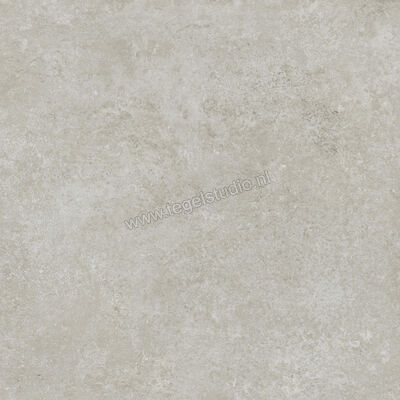  Ragno Tiempo Grigio 60x60 cm Vloertegel / Wandtegel Mat Vlak Naturale RCT0 | 378556