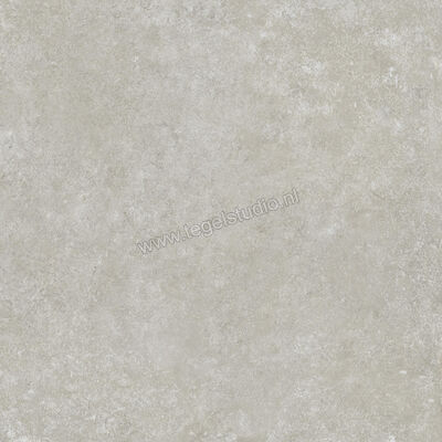  Ragno Tiempo Grigio 60x60 cm Vloertegel / Wandtegel Mat Vlak Naturale RCT0 | 378559