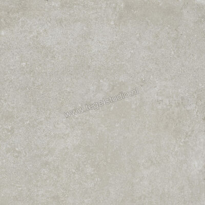  Ragno Tiempo Grigio 60x60 cm Vloertegel / Wandtegel Mat Vlak Naturale RCT0 | 378562