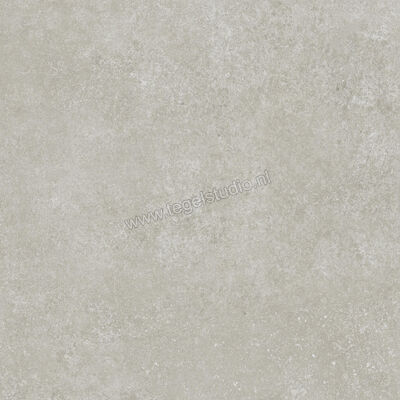  Ragno Tiempo Grigio 60x60 cm Vloertegel / Wandtegel Mat Vlak Naturale RCT0 | 378565