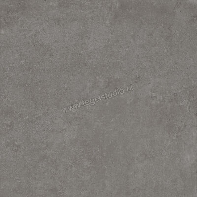  Ragno Tiempo Antracite 60x60 cm Vloertegel / Wandtegel Mat Vlak Naturale RCT1 | 378586