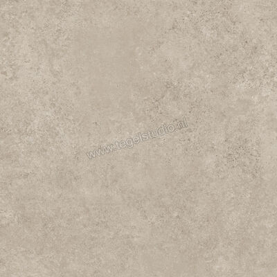  Ragno Tiempo Taupe 60x60 cm Vloertegel / Wandtegel Mat Vlak Naturale RCT2 | 378592