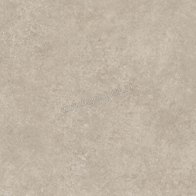  Ragno Tiempo Taupe 60x60 cm Vloertegel / Wandtegel Mat Vlak Naturale RCT2 | 378595