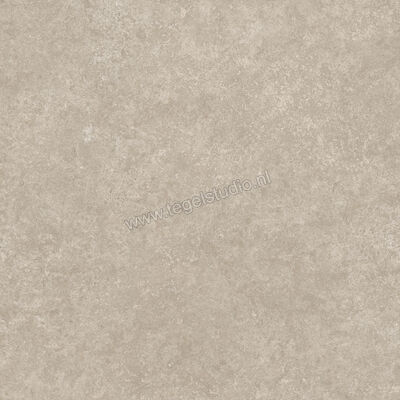  Ragno Tiempo Taupe 60x60 cm Vloertegel / Wandtegel Mat Vlak Naturale RCT2 | 378598