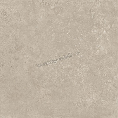  Ragno Tiempo Taupe 60x60 cm Vloertegel / Wandtegel Mat Vlak Naturale RCT2 | 378601