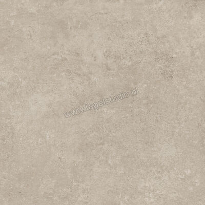  Ragno Tiempo Taupe 60x60 cm Vloertegel / Wandtegel Mat Vlak Naturale RCT2 | 378604