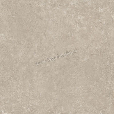  Ragno Tiempo Taupe 60x60 cm Vloertegel / Wandtegel Mat Vlak Naturale RCT2 | 378607