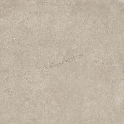  Ragno Tiempo Taupe 60x60 cm Vloertegel / Wandtegel Mat Vlak Naturale RCT2 | 378610
