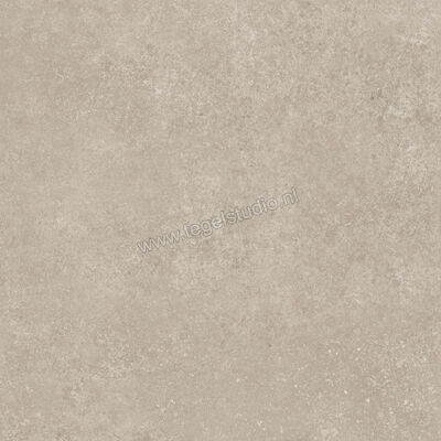  Ragno Tiempo Taupe 60x60 cm Vloertegel / Wandtegel Mat Vlak Naturale RCT2 | 378613