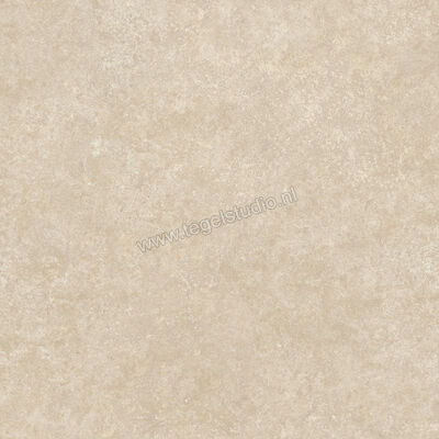  Ragno Tiempo Beige 60x60 cm Vloertegel / Wandtegel Mat Vlak Naturale RCT3 | 378622