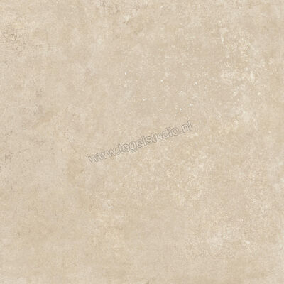  Ragno Tiempo Beige 60x60 cm Vloertegel / Wandtegel Mat Vlak Naturale RCT3 | 378625