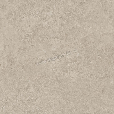 Ragno Tiempo Taupe 45x45 cm Vloertegel / Wandtegel Mat Vlak Naturale RCTU | 378784