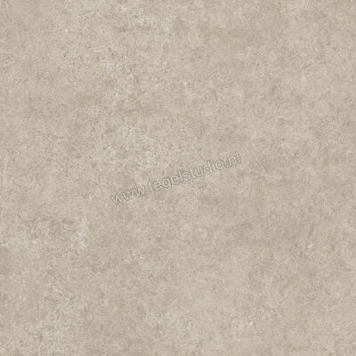  Ragno Tiempo Taupe 45x45 cm Vloertegel / Wandtegel Mat Vlak Naturale RCTU | 378787