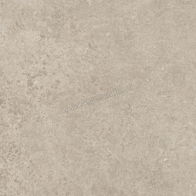  Ragno Tiempo Taupe 45x45 cm Vloertegel / Wandtegel Mat Vlak Naturale RCTU | 378790