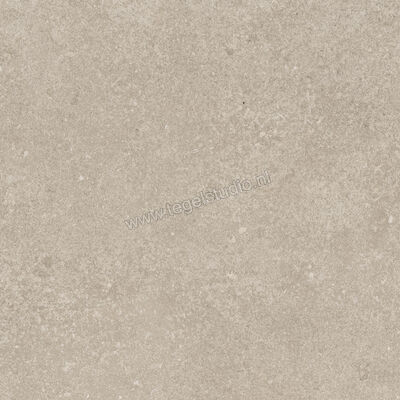  Ragno Tiempo Taupe 45x45 cm Vloertegel / Wandtegel Mat Vlak Naturale RCTU | 378793