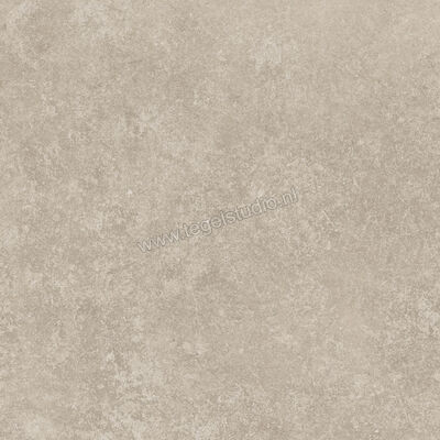  Ragno Tiempo Taupe 45x45 cm Vloertegel / Wandtegel Mat Vlak Naturale RCTU | 378796