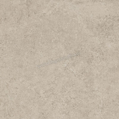  Ragno Tiempo Taupe 45x45 cm Vloertegel / Wandtegel Mat Vlak Naturale RCTU | 378799