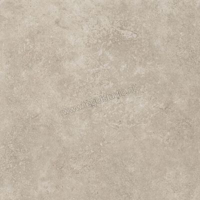  Ragno Tiempo Taupe 45x45 cm Vloertegel / Wandtegel Mat Vlak Naturale RCTU | 378802