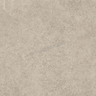  Ragno Tiempo Taupe 45x45 cm Vloertegel / Wandtegel Mat Vlak Naturale RCTU | 378805