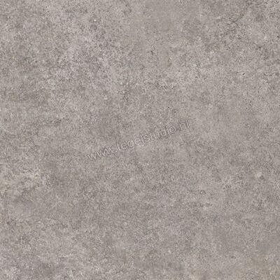  Ragno Tiempo Antracite 45x45 cm Vloertegel / Wandtegel Mat Vlak Naturale RCTV | 378808