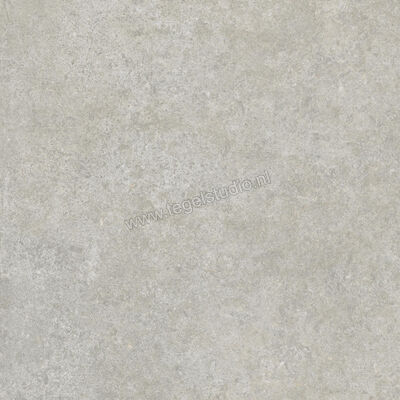  Ragno Tiempo Grigio 45x45 cm Vloertegel / Wandtegel Mat Vlak Naturale RCTX | 378859