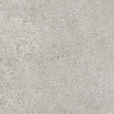  Ragno Tiempo Grigio 45x45 cm Vloertegel / Wandtegel Mat Vlak Naturale RCTX | 378862
